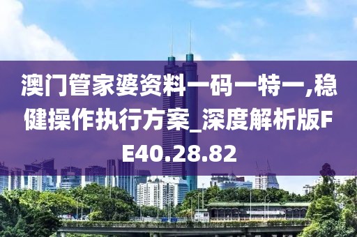 澳门管家婆资料一码一特一,稳健操作执行方案_深度解析版FE40.28.82