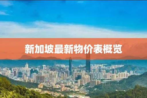 新加坡最新物价表概览
