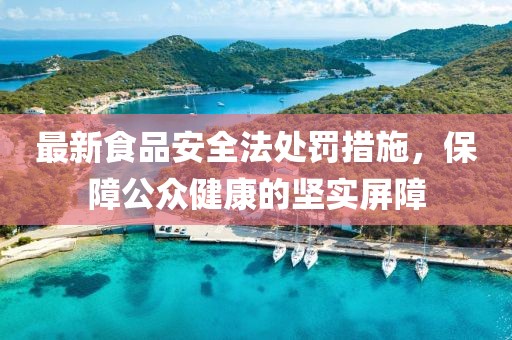 最新食品安全法处罚措施，保障公众健康的坚实屏障
