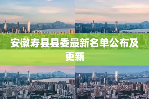 安徽寿县县委最新名单公布及更新