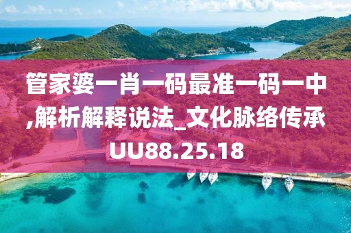 管家婆一肖一码最准一码一中,解析解释说法_文化脉络传承UU88.25.18