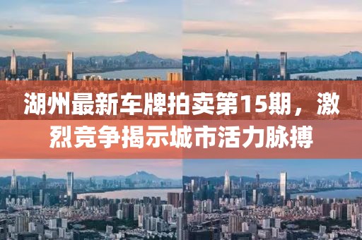 湖州最新车牌拍卖第15期，激烈竞争揭示城市活力脉搏