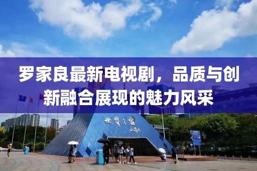 罗家良最新电视剧，品质与创新融合展现的魅力风采