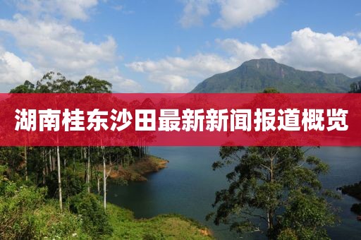 湖南桂东沙田最新新闻报道概览