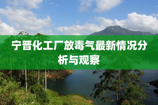 宁晋化工厂放毒气最新情况分析与观察