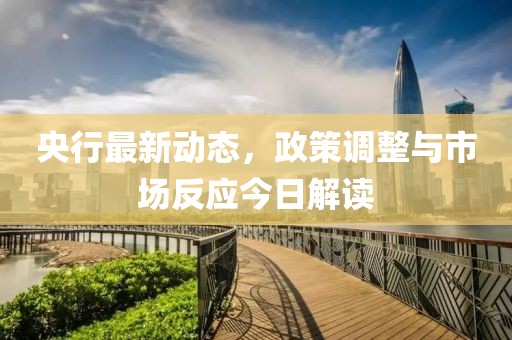 央行最新动态，政策调整与市场反应今日解读