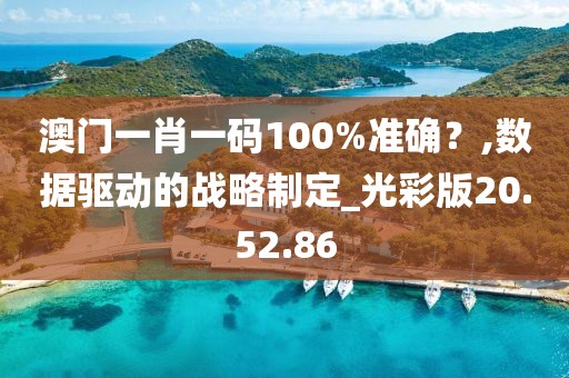 澳门一肖一码100%准确？,数据驱动的战略制定_光彩版20.52.86