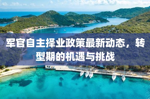 军官自主择业政策最新动态，转型期的机遇与挑战
