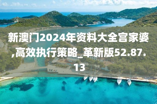 新澳门2024年资料大全宫家婆,高效执行策略_革新版52.87.13