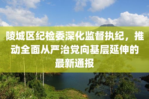 陵城区纪检委深化监督执纪，推动全面从严治党向基层延伸的最新通报