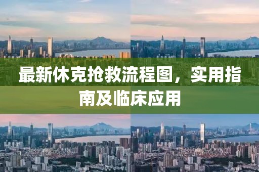 最新休克抢救流程图，实用指南及临床应用