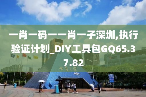 一肖一码一一肖一子深圳,执行验证计划_DIY工具包GQ65.37.82