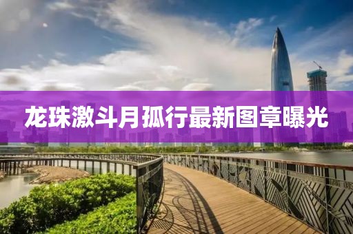 龙珠激斗月孤行最新图章曝光