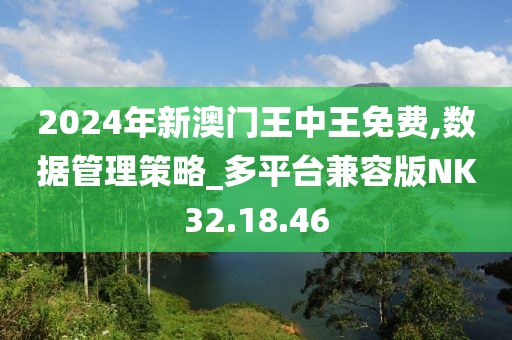 2024年新澳门王中王免费,数据管理策略_多平台兼容版NK32.18.46