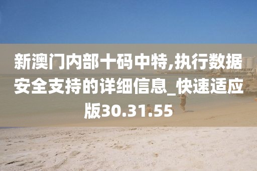 新澳门内部十码中特,执行数据安全支持的详细信息_快速适应版30.31.55
