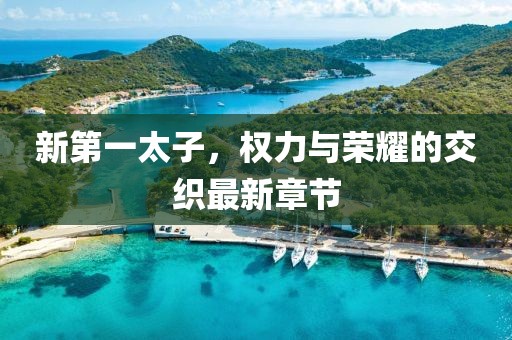 新第一太子，权力与荣耀的交织最新章节