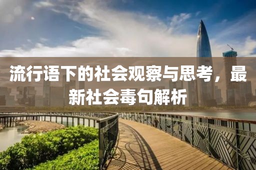 流行语下的社会观察与思考，最新社会毒句解析