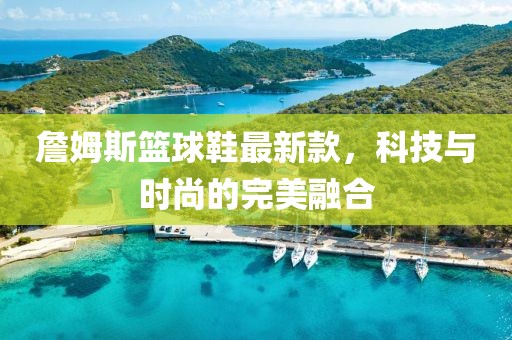 詹姆斯篮球鞋最新款，科技与时尚的完美融合