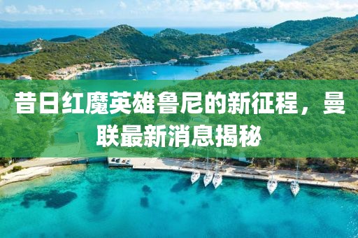 昔日红魔英雄鲁尼的新征程，曼联最新消息揭秘