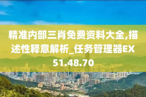 精准内部三肖免费资料大全,描述性释意解析_任务管理器EX51.48.70