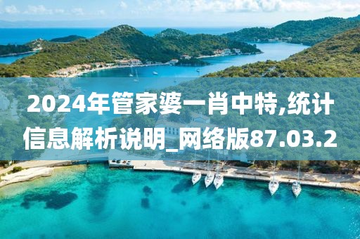 2024年管家婆一肖中特,统计信息解析说明_网络版87.03.20