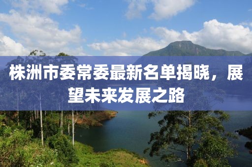 株洲市委常委最新名单揭晓，展望未来发展之路