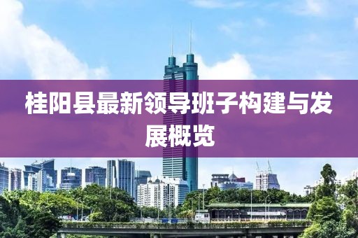 桂阳县最新领导班子构建与发展概览