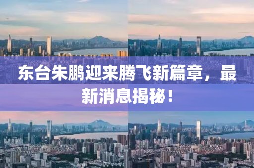 东台朱鹏迎来腾飞新篇章，最新消息揭秘！
