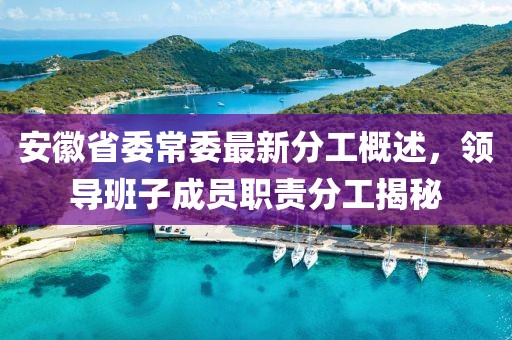安徽省委常委最新分工概述，领导班子成员职责分工揭秘