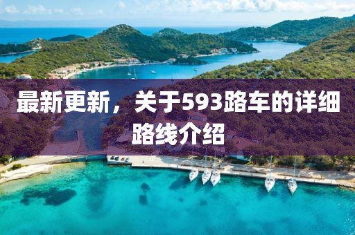 最新更新，关于593路车的详细路线介绍