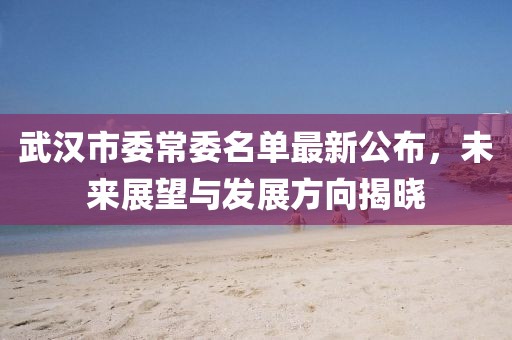武汉市委常委名单最新公布，未来展望与发展方向揭晓