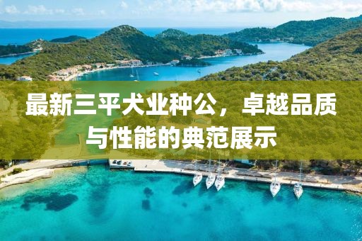 最新三平犬业种公，卓越品质与性能的典范展示