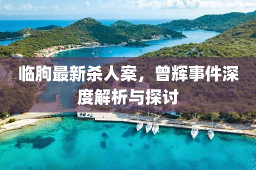 临朐最新杀人案，曾辉事件深度解析与探讨