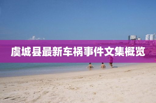 虞城县最新车祸事件文集概览