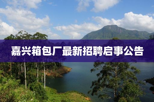 嘉兴箱包厂最新招聘启事公告