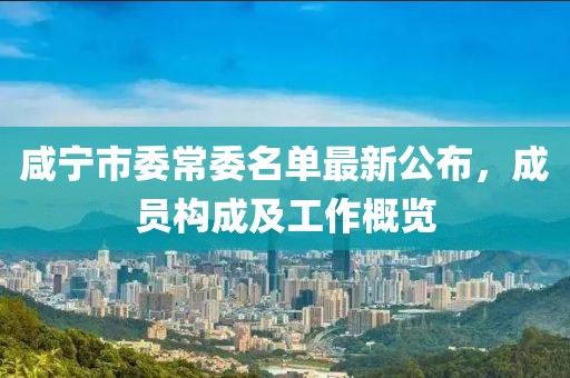 咸宁市委常委名单最新公布，成员构成及工作概览