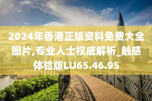 2024年香港正版资料免费大全图片,专业人士权威解析_触感体验版LU65.46.95