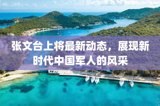 张文台上将最新动态，展现新时代中国军人的风采