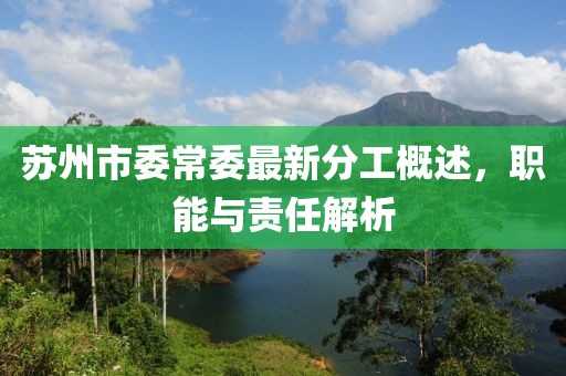 苏州市委常委最新分工概述，职能与责任解析