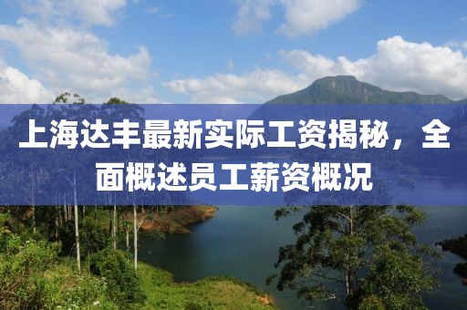 上海达丰最新实际工资揭秘，全面概述员工薪资概况