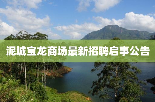 泥城宝龙商场最新招聘启事公告