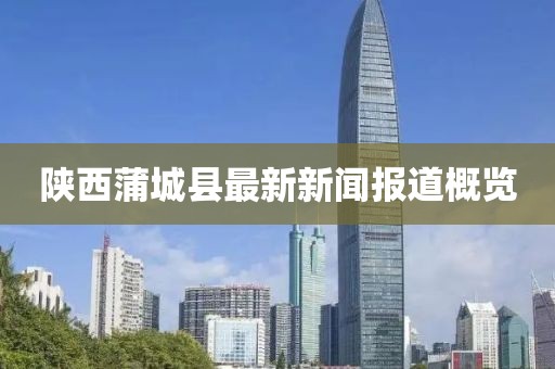 陕西蒲城县最新新闻报道概览