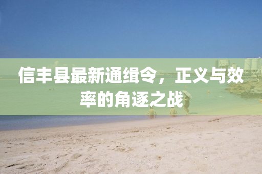 信丰县最新通缉令，正义与效率的角逐之战