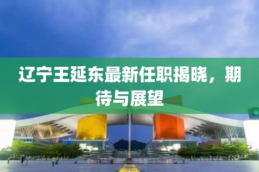 辽宁王延东最新任职揭晓，期待与展望