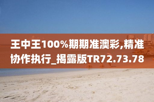 王中王100%期期准澳彩,精准协作执行_揭露版TR72.73.78