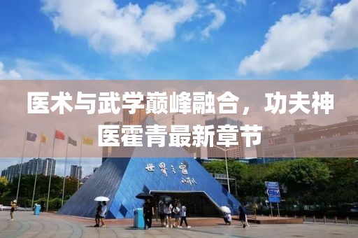 医术与武学巅峰融合，功夫神医霍青最新章节