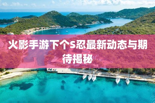 火影手游下个S忍最新动态与期待揭秘