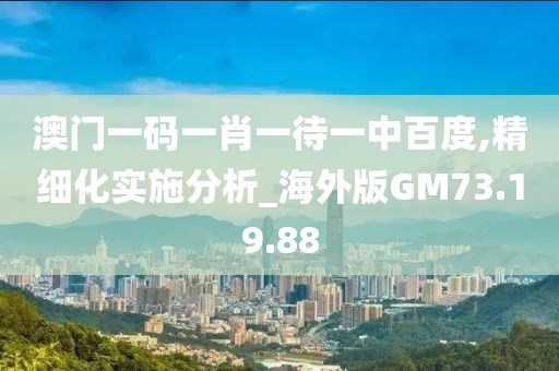 澳门一码一肖一待一中百度,精细化实施分析_海外版GM73.19.88