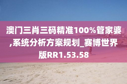 澳门三肖三码精准100%管家婆,系统分析方案规划_赛博世界版RR1.53.58