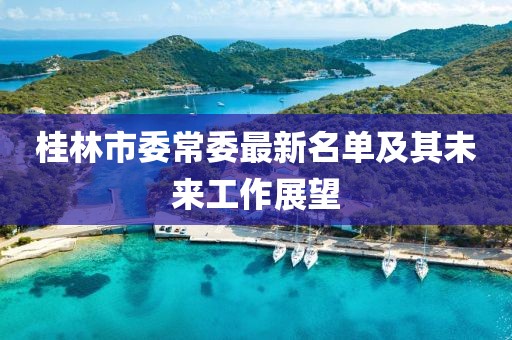 桂林市委常委最新名单及其未来工作展望